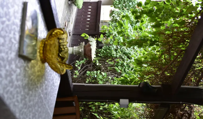 Torncos Vendghz Krshegy - Oktber 23. (min. 2 j)