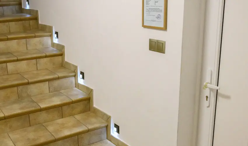 Tulipn Vendghz rvnyes - Augusztus 20. (min. 3 j)