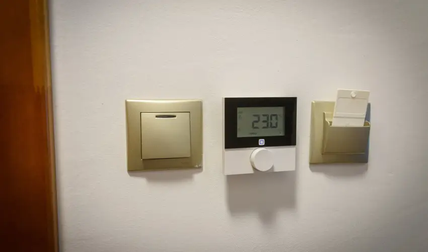 Tulipn Vendghz rvnyes - Augusztus 20. (min. 3 j)