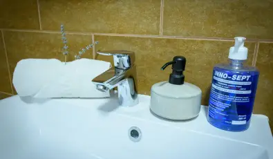 Tulipn Vendghz rvnyes