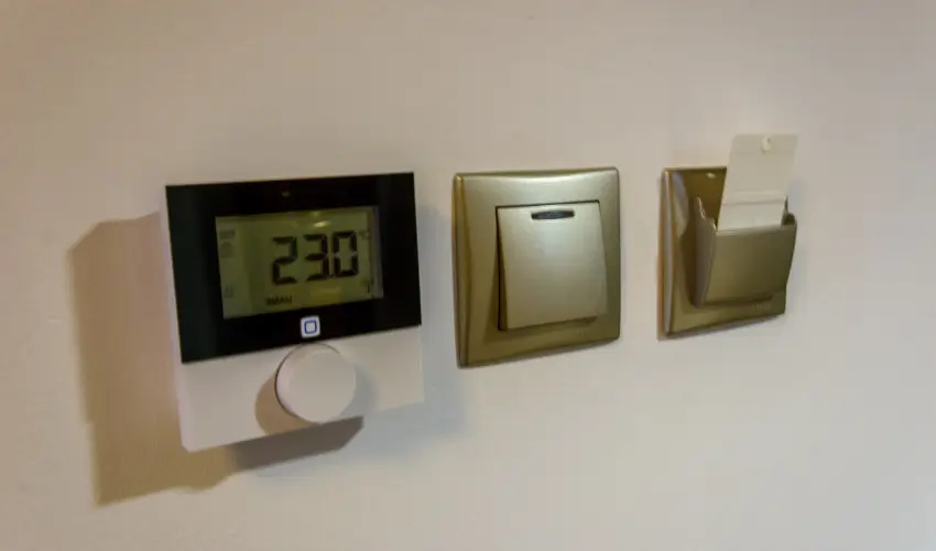 Tulipn Vendghz rvnyes - Augusztus 20. (min. 3 j)