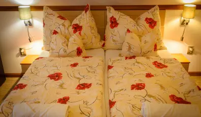 Tulipn Vendghz rvnyes