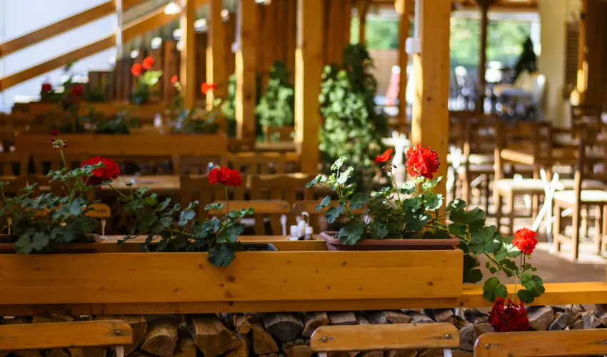 Viktor Bor- s Vendghz Balatonmriafrd - Oktber 23. 