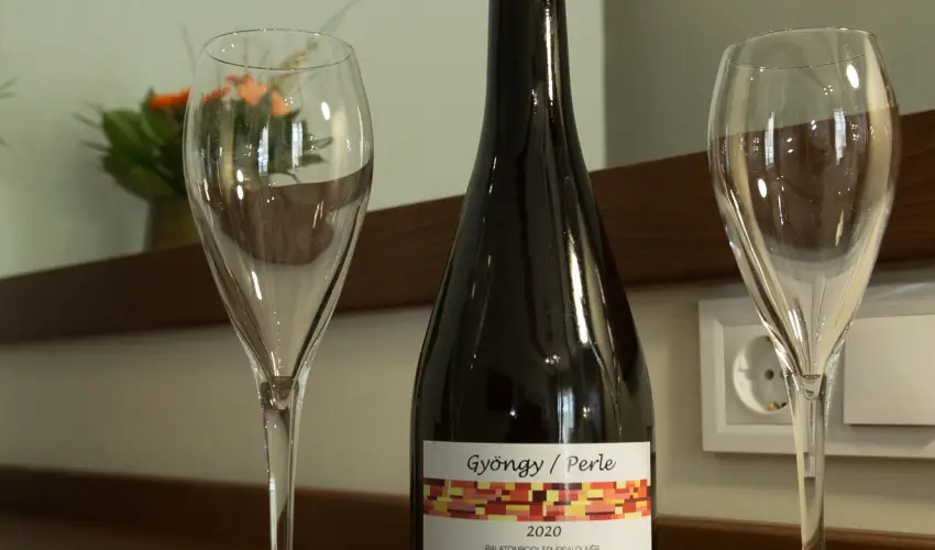 Viktor Bor- s Vendghz Balatonmriafrd - Oktber 23. 