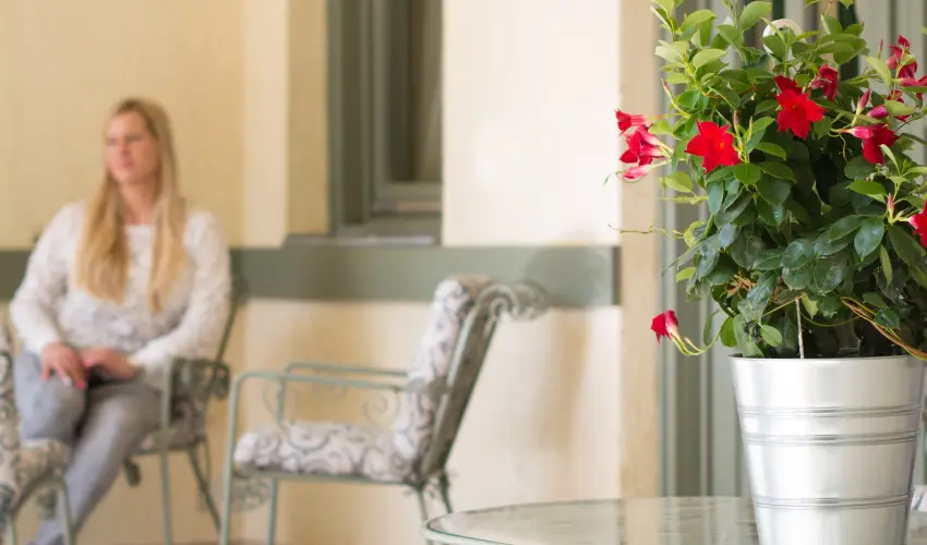 Villa Oliva Boutique Rooms Zamrdi - Pnksd (min. 2 j)