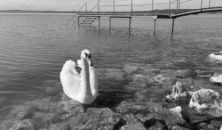 Vilgos Hotel Balatonvilgos - Balatoni kedvezmnyes rak flpanzis elltssal (1 jtl)