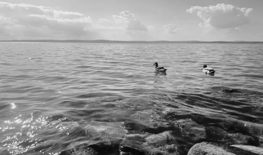 Vilgos Hotel Balatonvilgos - Balatoni kedvezmnyes rak flpanzis elltssal (1 jtl)