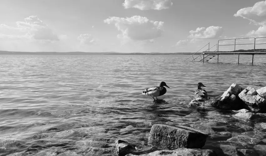 Vilgos Hotel Balatonvilgos - Balatoni kedvezmnyes rak flpanzis elltssal (1 jtl)