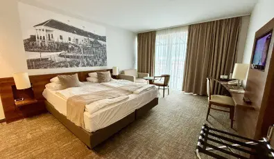 Zenit Hotel Balaton Vonyarcvashegy